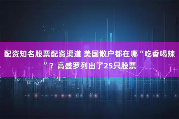 配资知名股票配资渠道 美国散户都在哪“吃香喝辣”？高盛罗列出了25只股票
