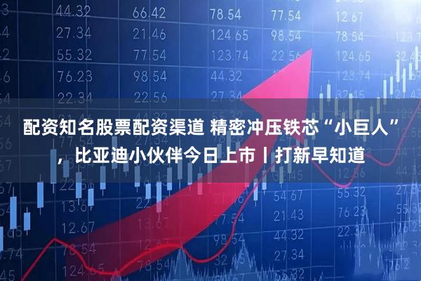 配资知名股票配资渠道 精密冲压铁芯“小巨人”，比亚迪小伙伴今日上市丨打新早知道